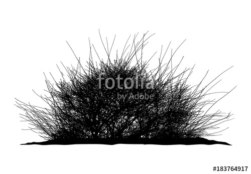 500x347 Realistic Silhouette Of Bush (Vector Illustration).ai10 Stock