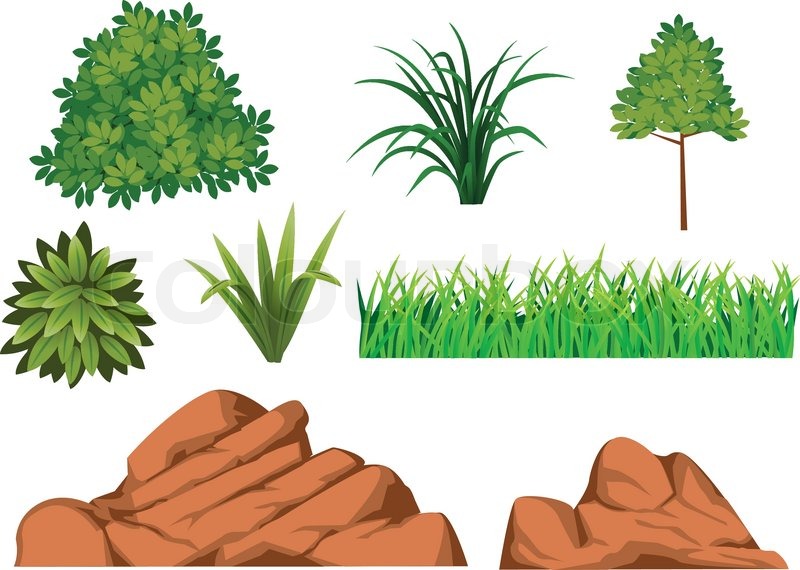 800x570 Bush, Grass And Rock Stock Vector Colourbox
