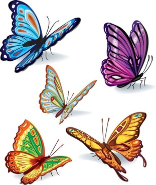 311x368 Butterfly Free Vector Download (2,033 Free Vector) For Commercial