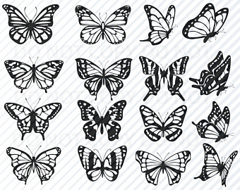 340x270 Butterfly Vector Etsy