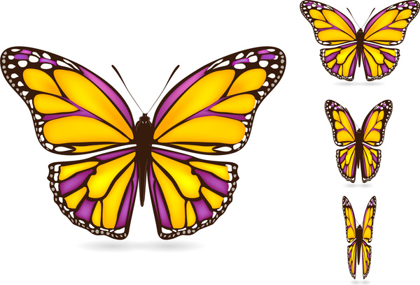 600x408 Colorful Butterflies Set With Realistic Vector Illustration Free
