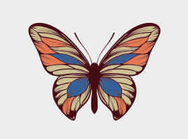 270x200 Free Butterfly Vector Graphics