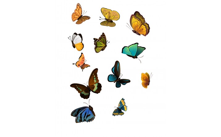 716x443 Butterfly Vector Art Pack Illustration Flying In The Air