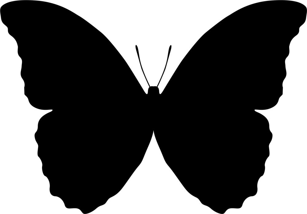 1000x696 Butterfly Vector