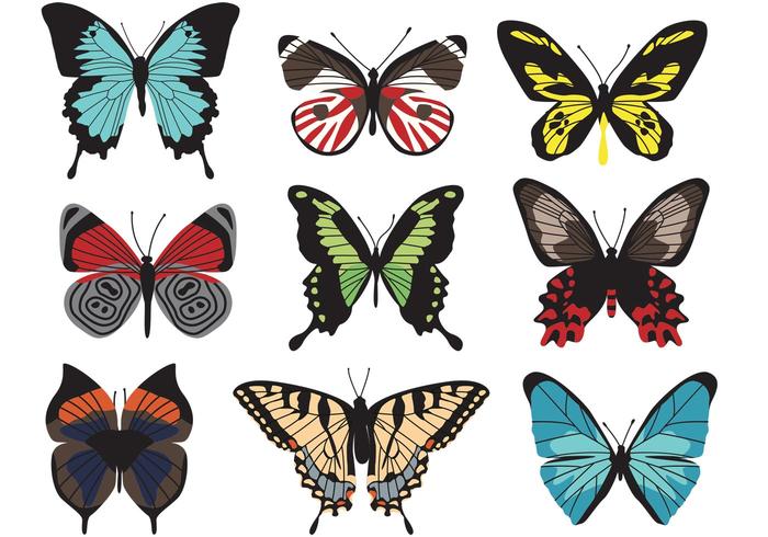 700x490 Butterfly Vectors