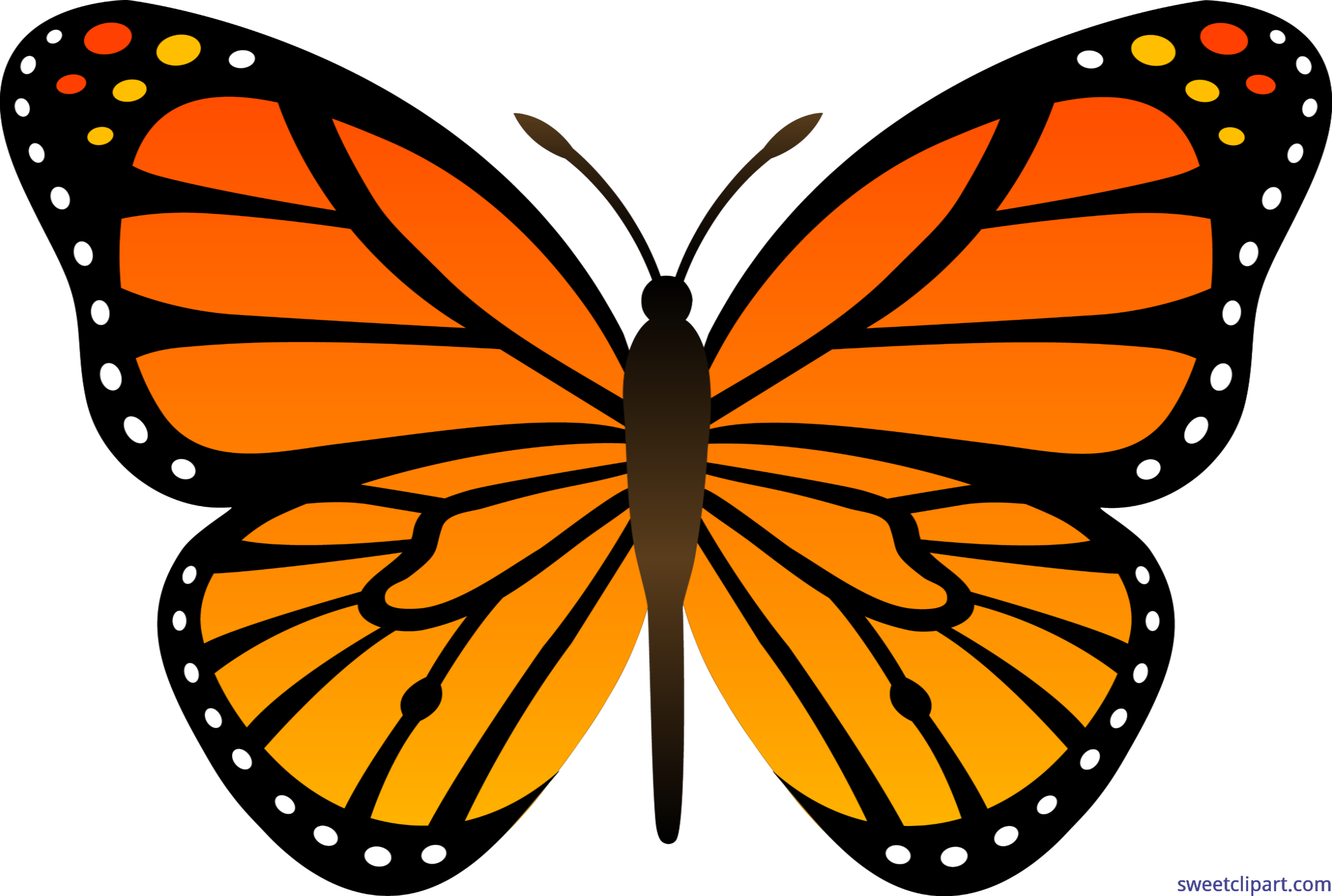 5920x3982 Collection Of Free Butterflies Vector Transformation. Download On