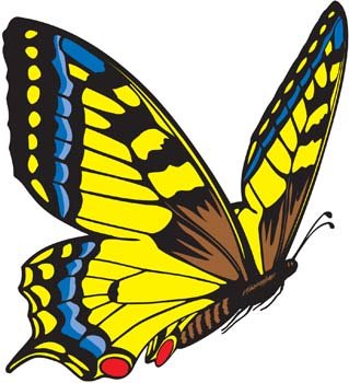 319x350 Free Butterfly Vector 3 Psd Files, Vectors Amp Graphics