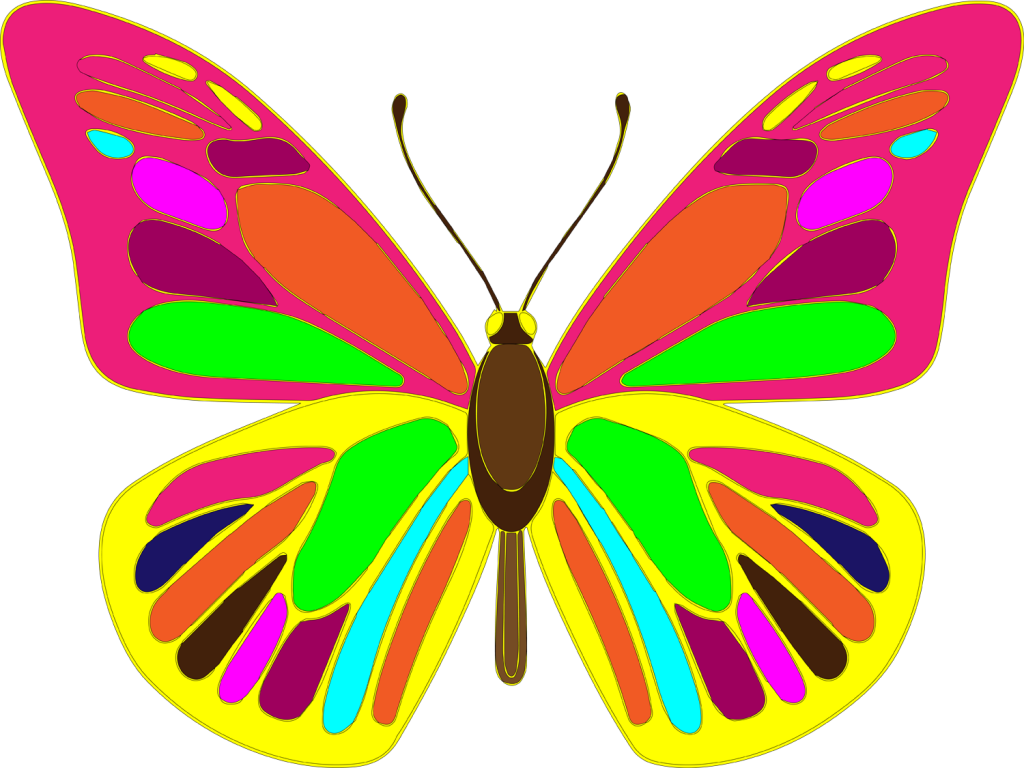 1024x768 Free Butterfly Vector Art