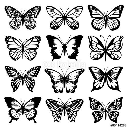 500x500 Free Vector Art Butterfly Vector Butterfly Vector Set