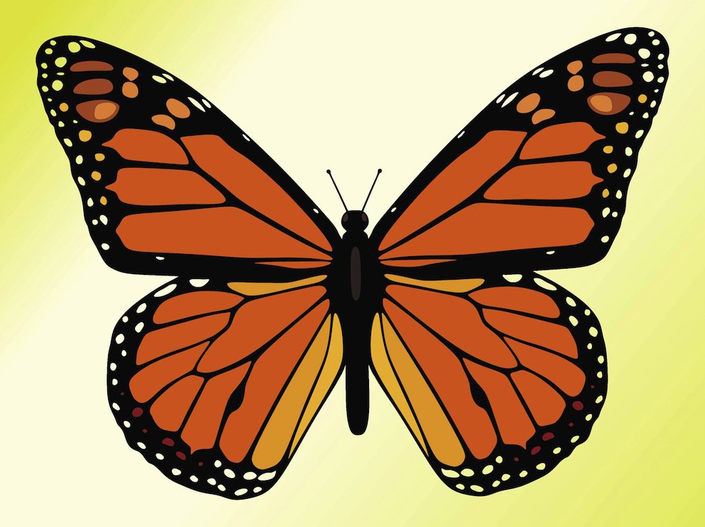 1024x765 Monarch Butterfly Vector Art Amp Graphics