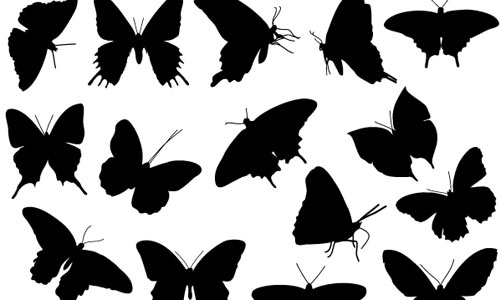 500x300 25 High Quality Vector Butterfly For Free Download Naldz Graphics