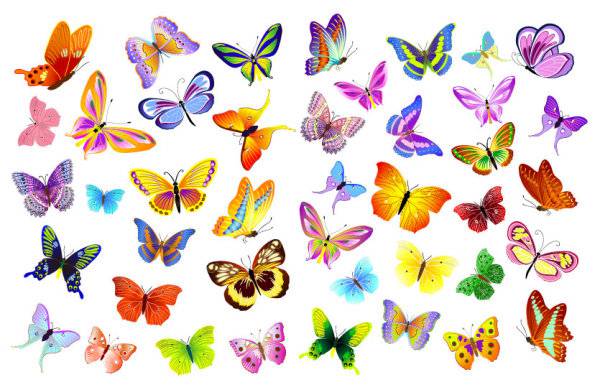 600x390 Beautiful Butterfly Vector Free Downloads Vector Biology Free
