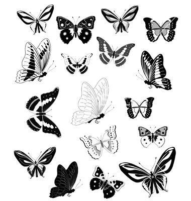 380x400 Butterfly Vector 279870