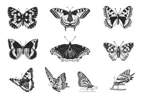 286x200 Cartoon Butterfly Vectors