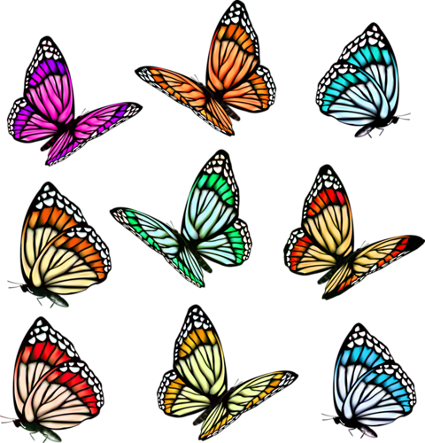480x500 Collection Of Free Butterflies Vector Realistic. Download On Ubisafe