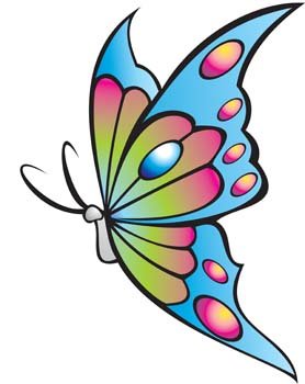 278x350 Free Butterfly Vector 15 Psd Files, Vectors Amp Graphics
