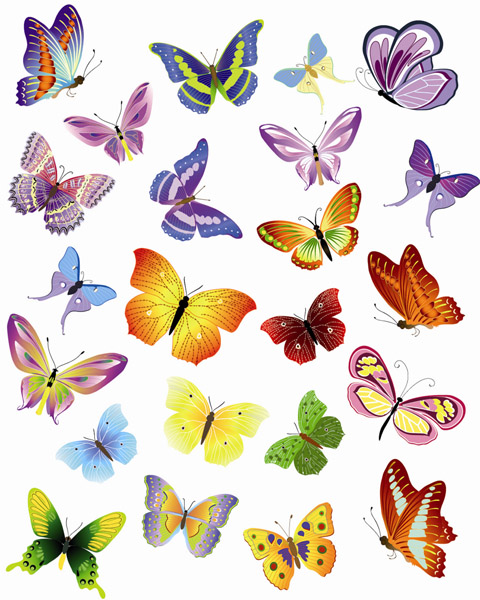480x600 A Variety Of Beautiful Butterflies Vector Free Vector 4vector