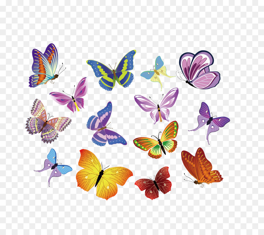 900x800 Royalty Free Euclidean Vector Clip Art