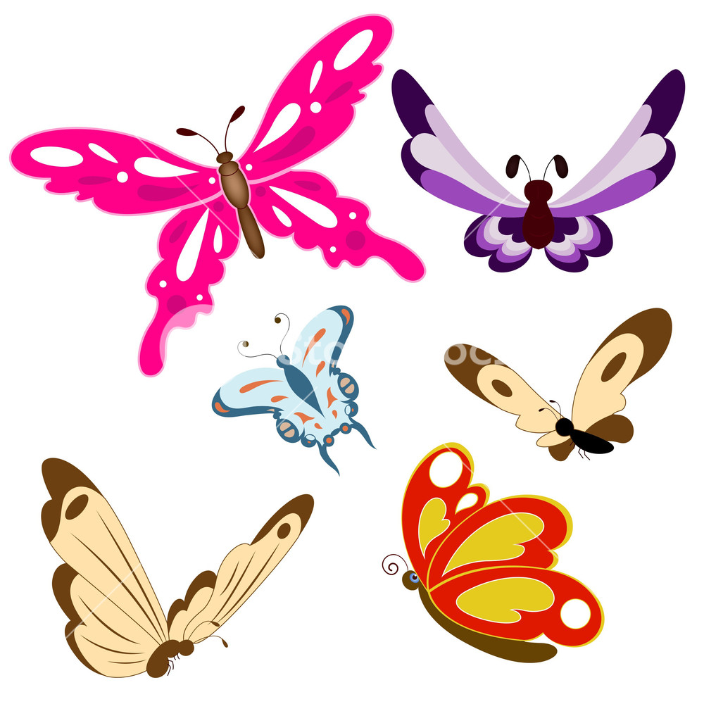1000x1000 Butterfly Vector Royalty Free Photos And Vectors