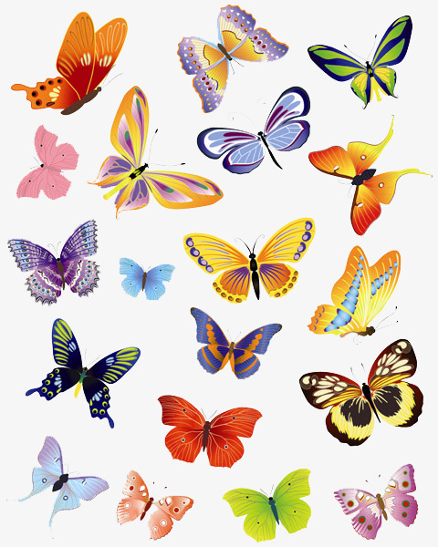 480x600 Butterfly Vector, Fly, Flower Png And Vector For Free Download