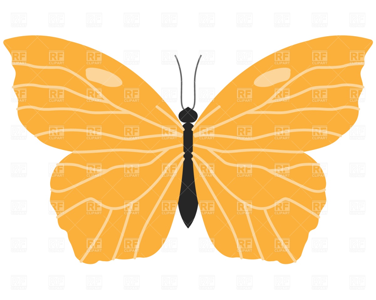 1200x960 Butterfly Vector Image Vector Artwork Of Plants And Animals