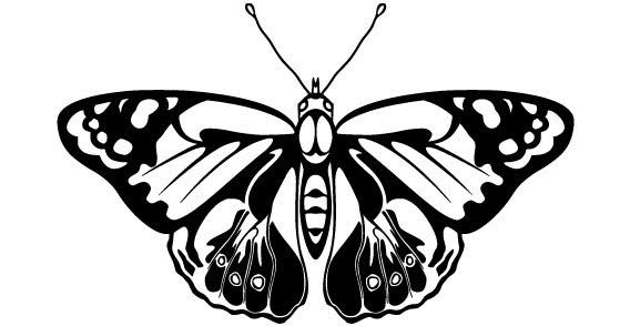 568x294 Butterfly Vector Animals Vector Butterfly