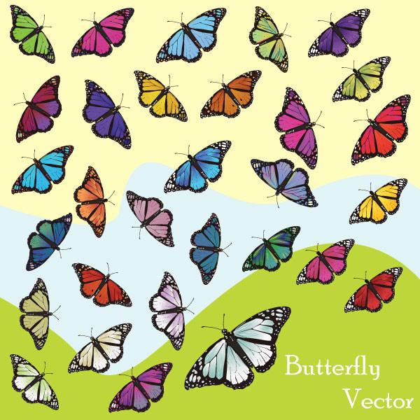 600x600 Butterfly Vector Art 123freevectors