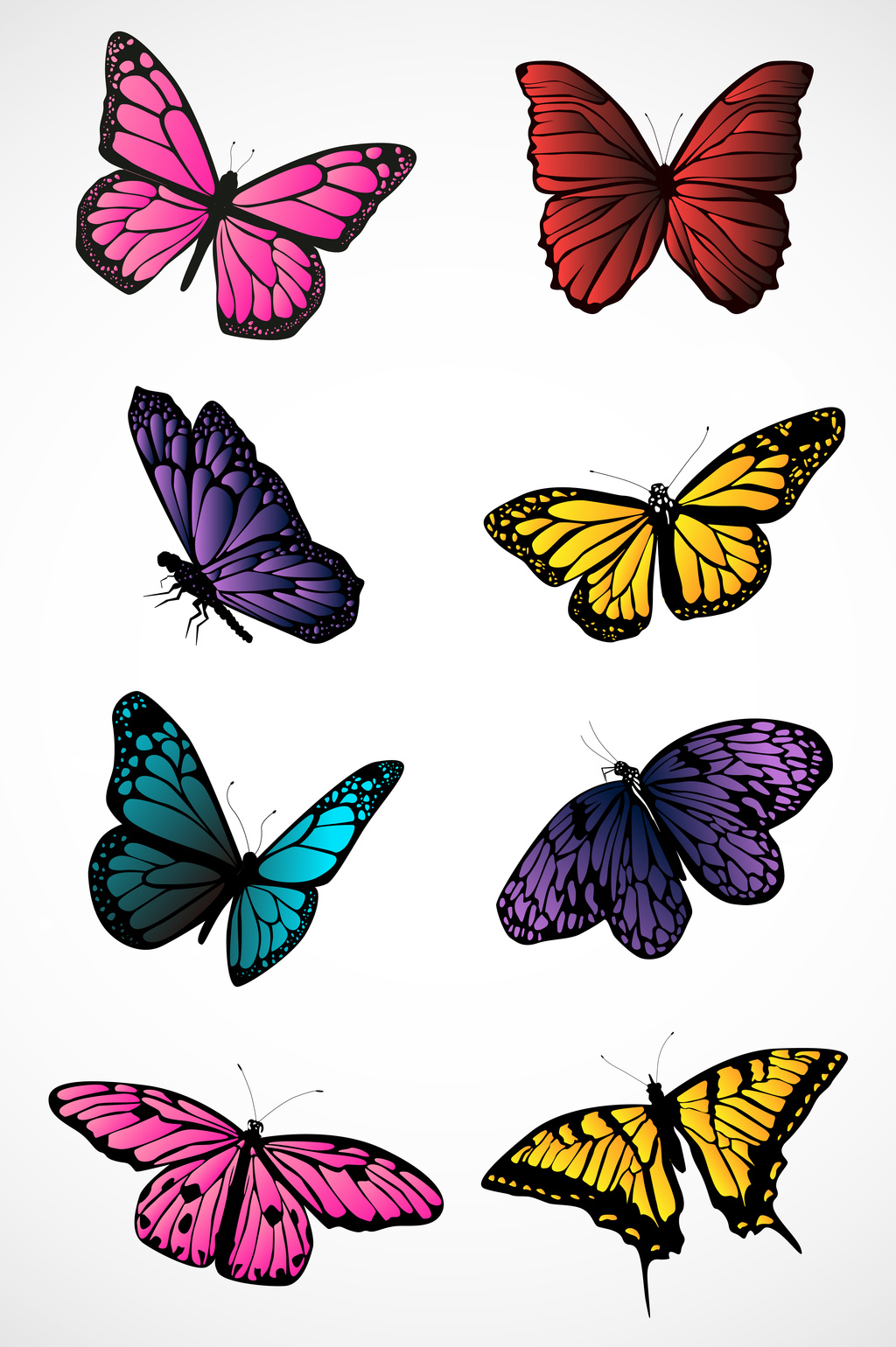 1024x1540 Flower Butterfly Vector Material Free Download Pikbest