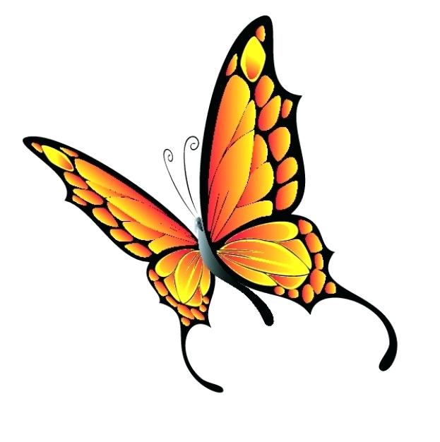 623x626 Free Butterfly Images Clip Art Flying Butterfly Vector Free
