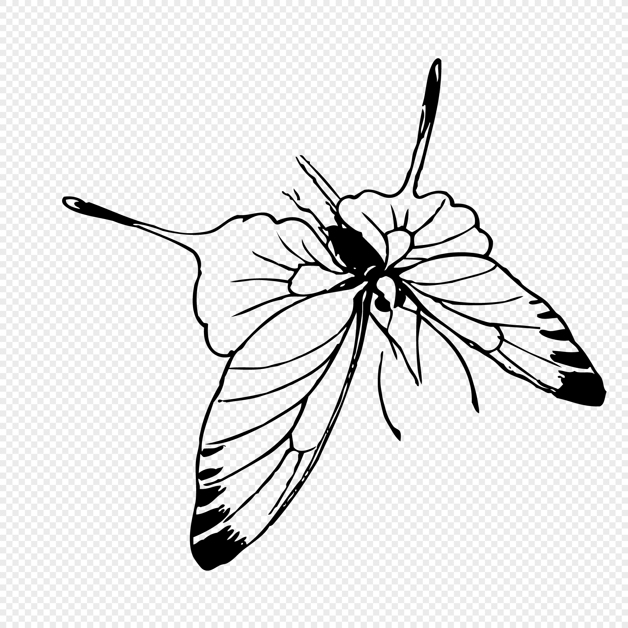 2020x2020 Hand Sketching Butterfly Vector Elements Png Image Picture Free