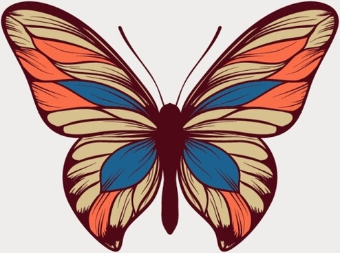 494x368 Original Design Butterfly Vector Png Images, Backgrounds And