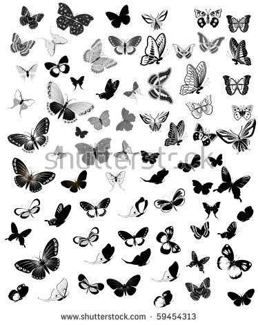 374x470 The Super Multi Black And White Butterfly Vector Set Free Vector