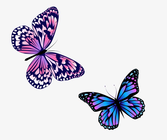 650x546 Butterfly, Color, Butterfly Vector Png And Psd File For Free Download