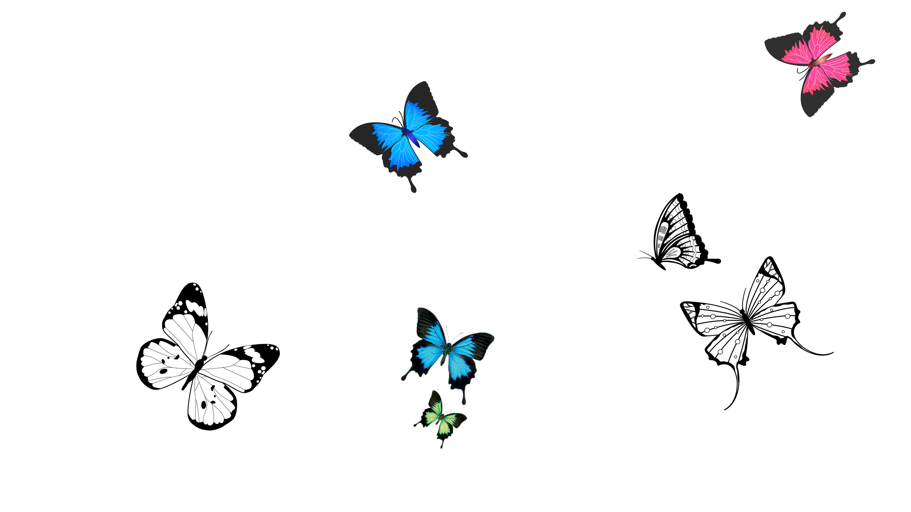 3055x1719 Butterfly Download