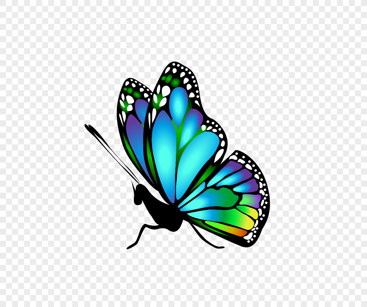 1220x1020 Colorful Insect Butterfly Vector Material Png Image Picture Free