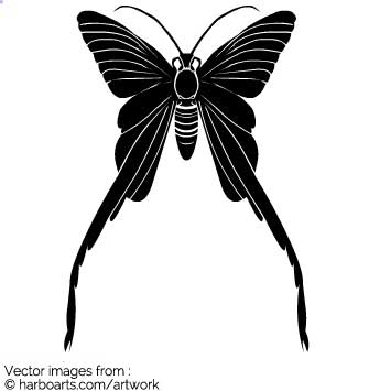 335x355 Download Long Tail Butterfly