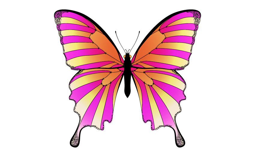 850x531 How To Create A Mirrored Butterfly In Adobe Illustrator