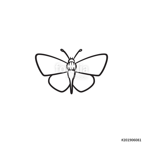 500x500 Butterfly Hand Drawn Outline Doodle Icon. Insect Butterfly Vector