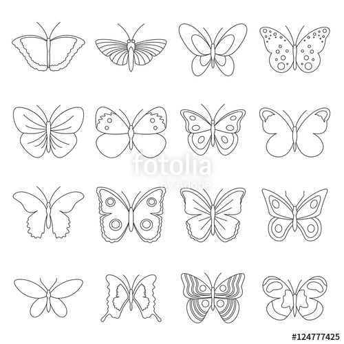 Butterfly Vector Outline at GetDrawings | Free download