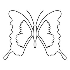 240x240 Light Butterfly Icon. Outline Illustration Of Light Butterfly