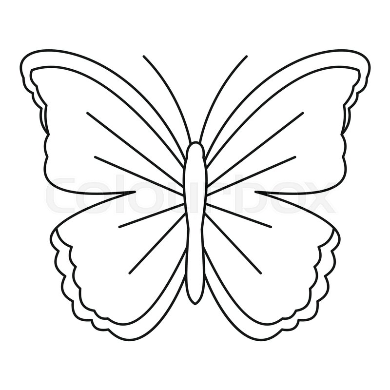 800x800 Big Butterfly Icon. Outline Illustration Of Big Butterfly Vector
