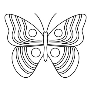 300x300 Butterfly Icon Royalty Free Vectors