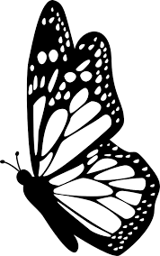 178x284 Butterfly Vector Paint