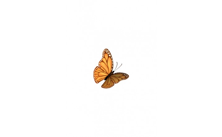 716x443 Butterfly Vector Art Pack Illustration Flying In The Air