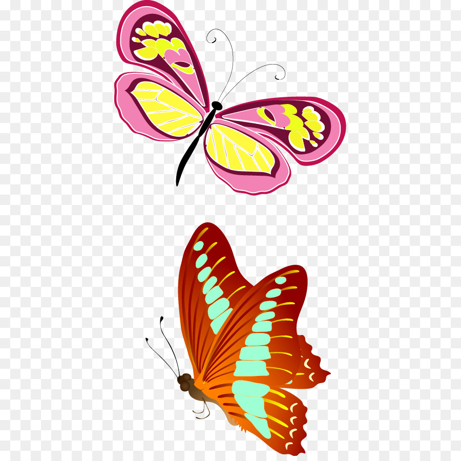900x900 Download Butterfly Bee Euclidean Vector Fun Colorful Butterfly