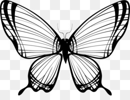 260x200 Download Black And White Butterfly Vector Png Clipart Butterfly