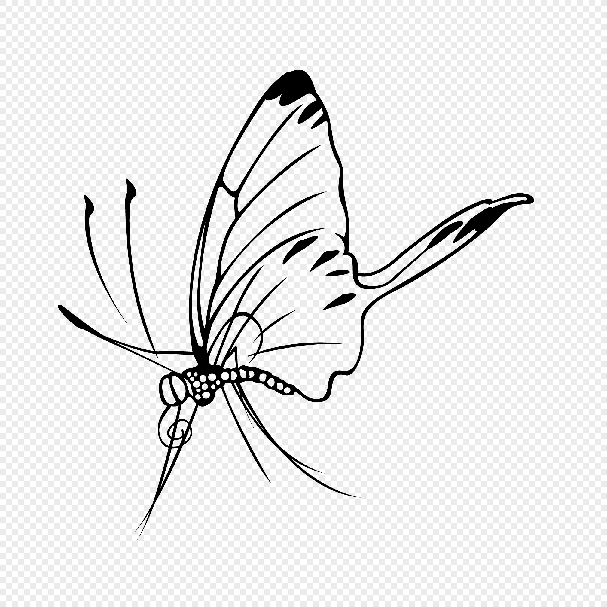 2020x2020 Simple Hand Sketching Butterfly Vector Elements Png Image Picture