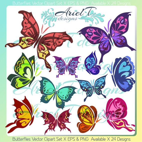 570x570 Butterflies Vector Clipart Set A Png Eps 24 By Arieltdesigns