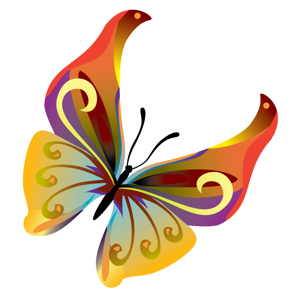 1000x1000 Butterflies Vector Png Transparent Image Png Mart