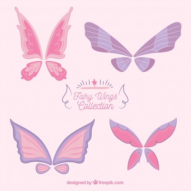 626x626 Butterfly Wings Vectors, Photos And Psd Files Free Download